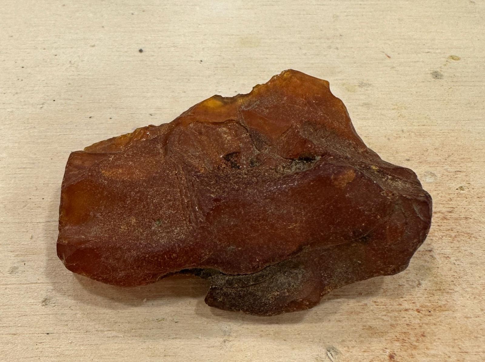 WhatsApp Image 2026-01-14 at 11.16.50.jpeg