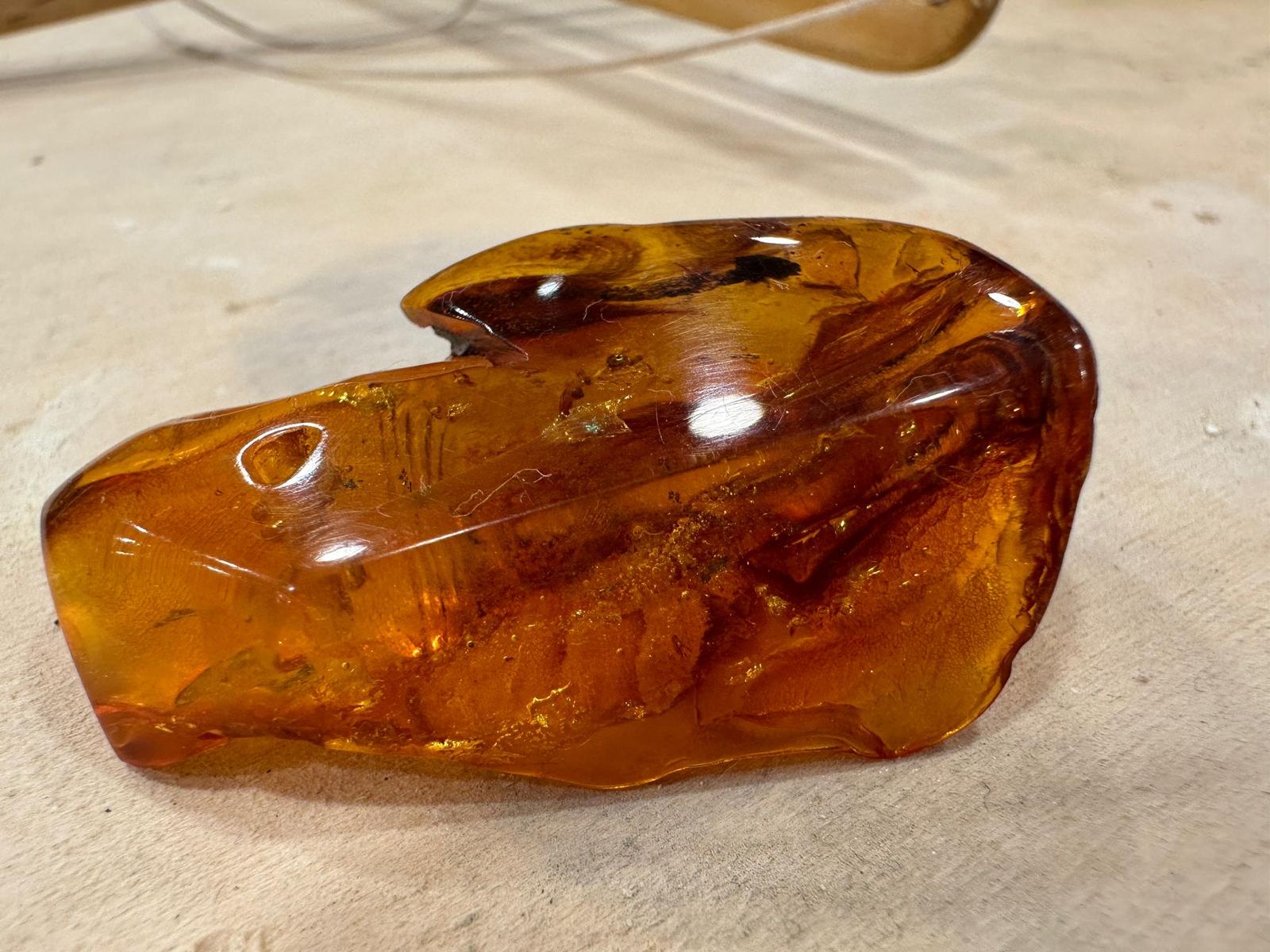 WhatsApp Image 2026-01-14 at 11.16.51.jpeg